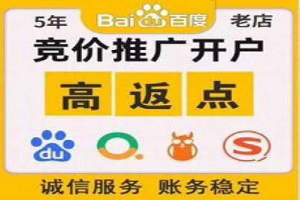 某某sem代运营公司：精准投放的背后策略